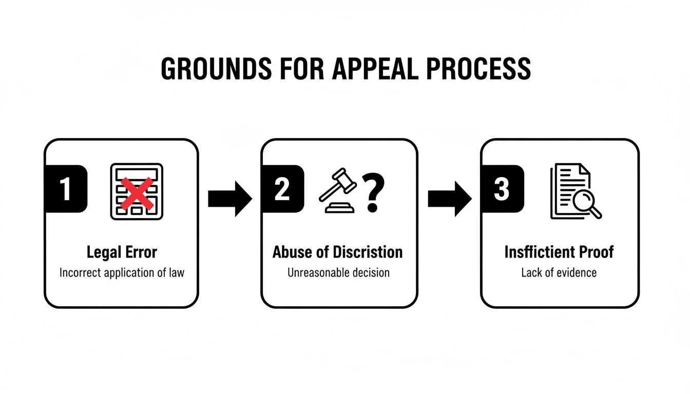 Infographic illustrating the three grounds for an appeal process: legal error, abuse of discretion, and insufficient proof.