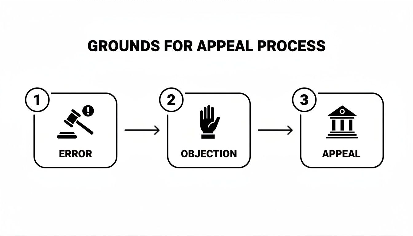 A legal process flowchart showing the steps for appeal: Error, Objection, and Appeal.