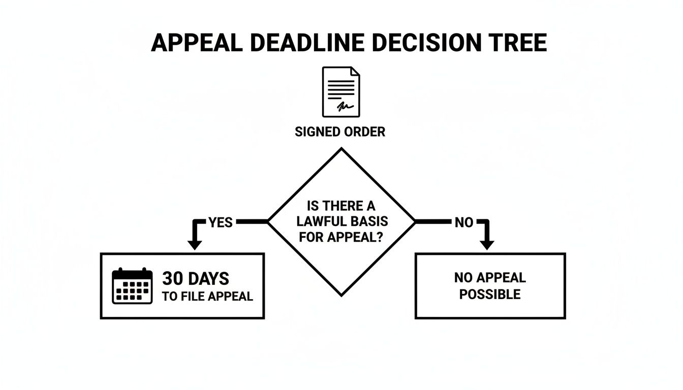 An appeal deadline decision tree showing steps to determine if an appeal is possible and its timeframe.