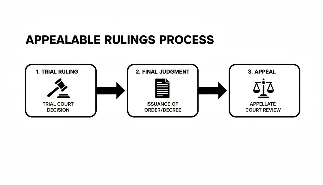 A flow chart illustrating the appealable rulings process, from trial court decision to appellate review.