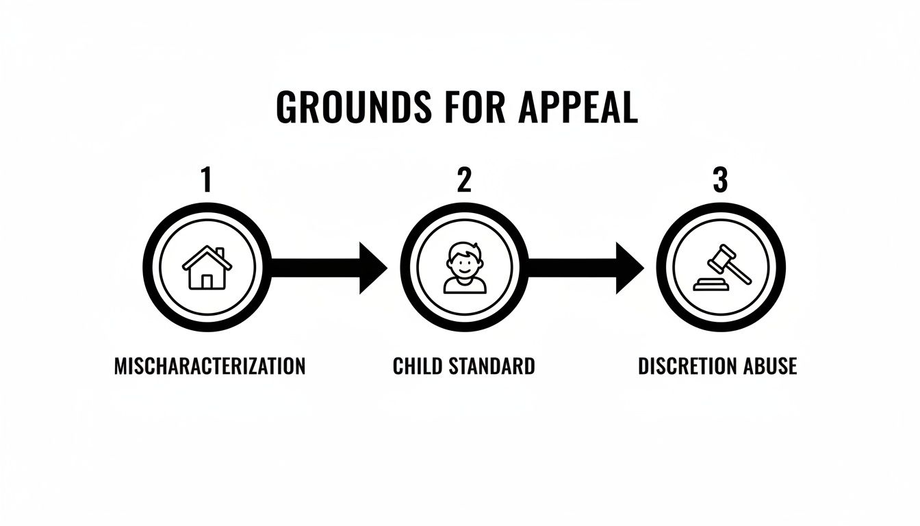 Diagram illustrating the three common grounds for appeal: mischaracterization, child standard, and discretion abuse.