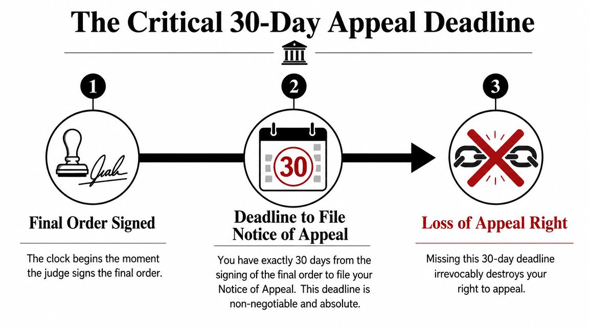 A diagram illustrating the strict 30-day timeline for filing a notice of appeal after a court order.