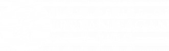 Law office logo of Bryan Fagan PLLC, featuring a stylized "BF" in a circular design, representing legal services.